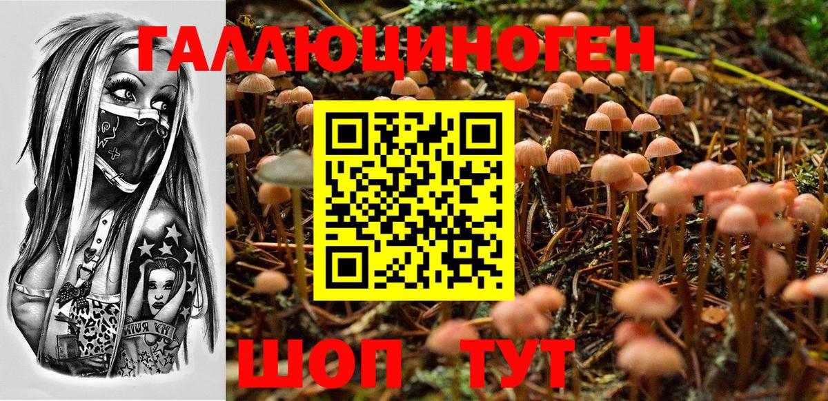 купить наркотики цена  Галлюциногенные грибы MAGIC MUSHROOMS  Нефтеюганск  Вход с VPN  Псилоцибиновые грибы мицелий 